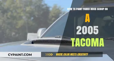 Reviving Your Ride: Painting a Faded Hood Scoop on a 2005 Tacoma