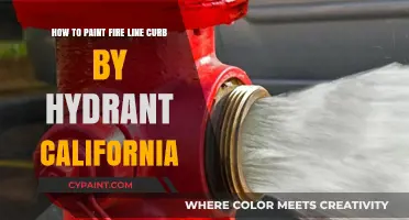 Painting Fire Hydrant Curbs: California's Code and Guide