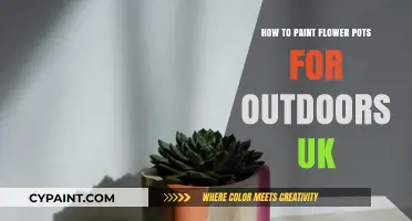 Creative Outdoor Flower Pot Painting Tips for UK Gardeners