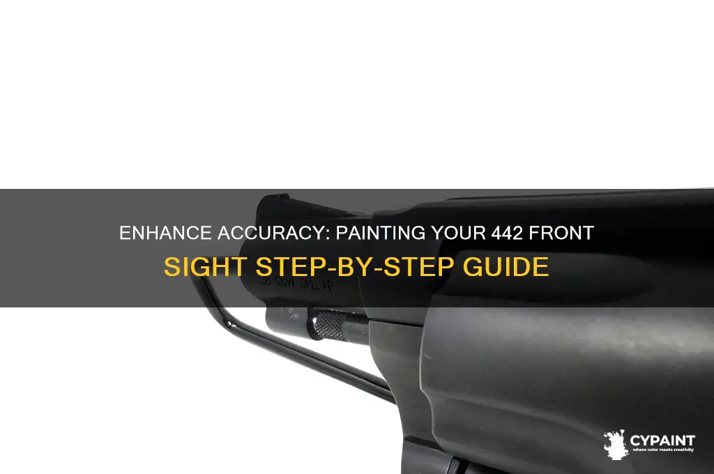 how to paint front sight on 442