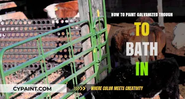 Transform Your Galvanized Trough into a Stunning Bath with Paint