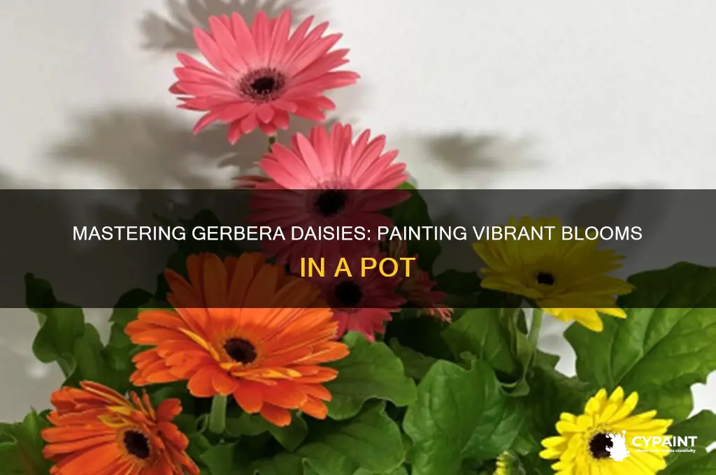 how to paint gerbera daisies in a pot