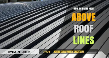 Mastering High-Altitude Painting: Tips for Roof Line Projects