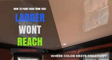 High Trim Painting: No Ladder, No Problem!