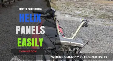 Effortless Honda Helix Panel Painting: Simple DIY Guide for Beginners