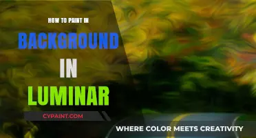 Mastering Background Painting Techniques in Luminar for Stunning Photos