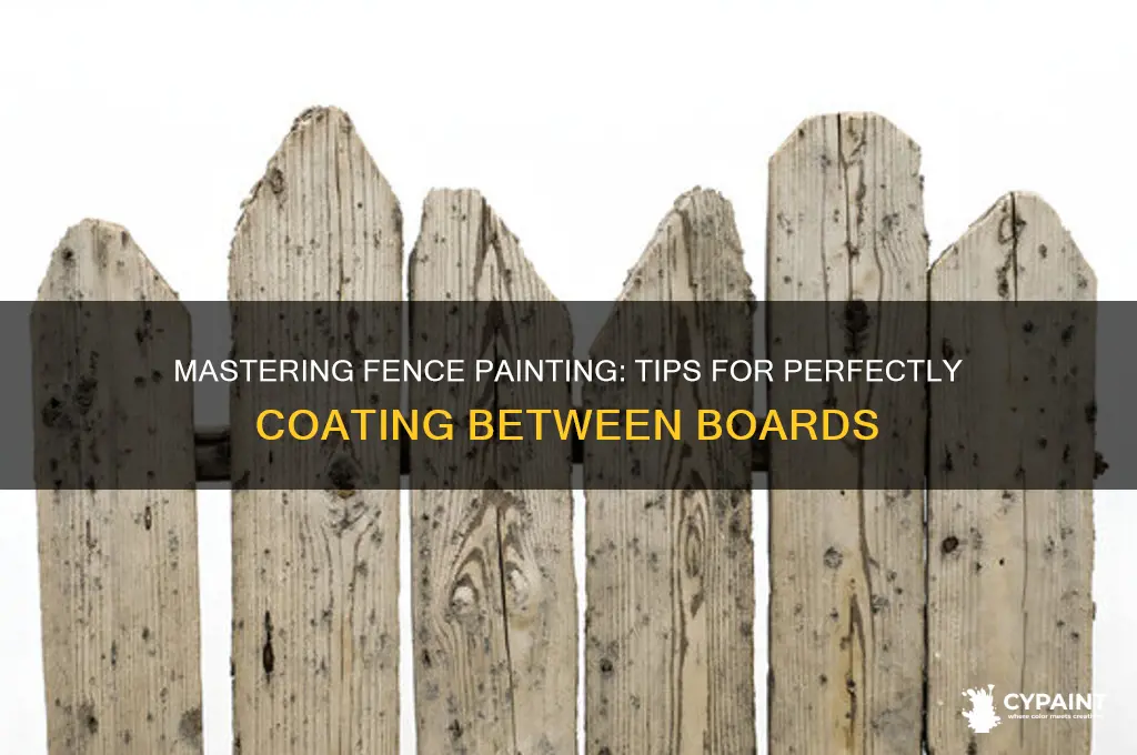 how to paint in between fence boards