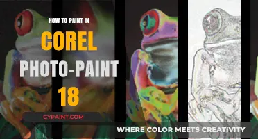 Mastering Digital Art: A Beginner's Guide to Corel Photo-Paint 18