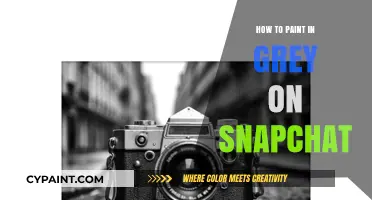 Mastering Monochrome: Painting in Grey on Snapchat Made Easy