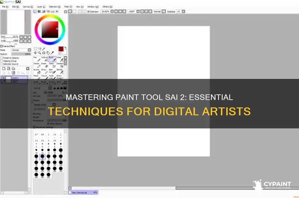how to paint in paint tool sai 2