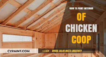 Easy Steps to Paint Your Chicken Coop Interior for a Fresh Look