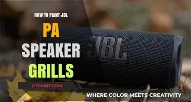 DIY Guide: Painting JBL PA Speaker Grills for a Custom Look