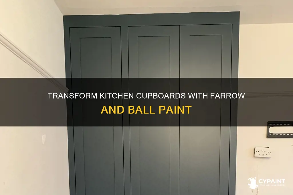 Transform Kitchen Cupboards With Farrow And Ball Paint | CyPaint