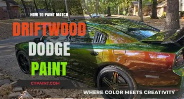 Mastering Driftwood Dodge Paint Matching: Tips and Techniques for a Perfect Finish