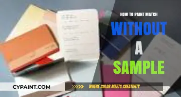 Master Paint Matching Without a Sample: Expert Tips and Tricks