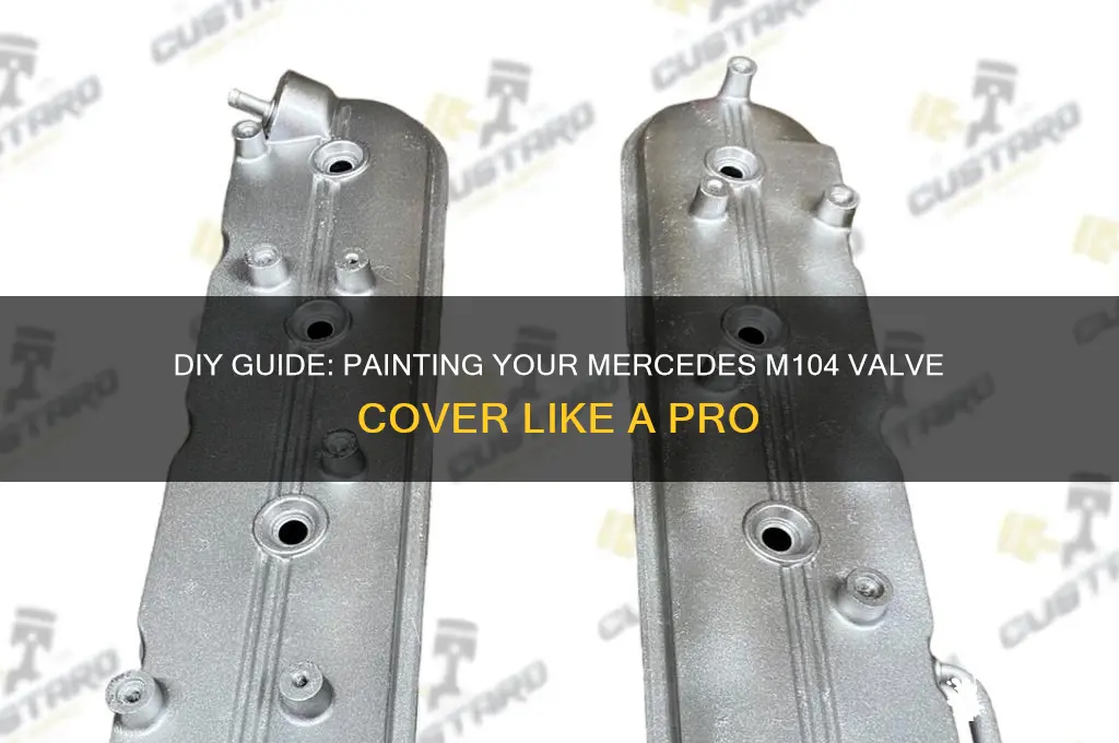 how to paint mercedes m104 valave cover