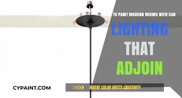Modern Room Painting Tips: Mastering Can Lighting in Adjoining Spaces