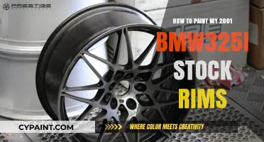 Revamp Your Ride: Painting 2001 BMW 325i Stock Rims DIY Guide