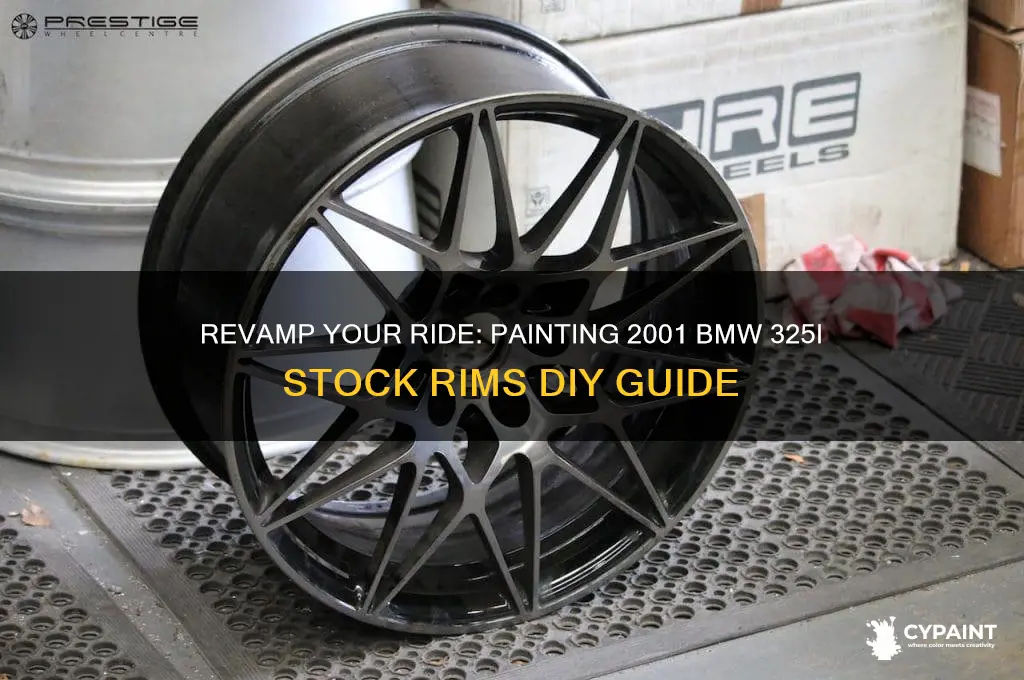 how to paint my 2001 bmw325i stock rims