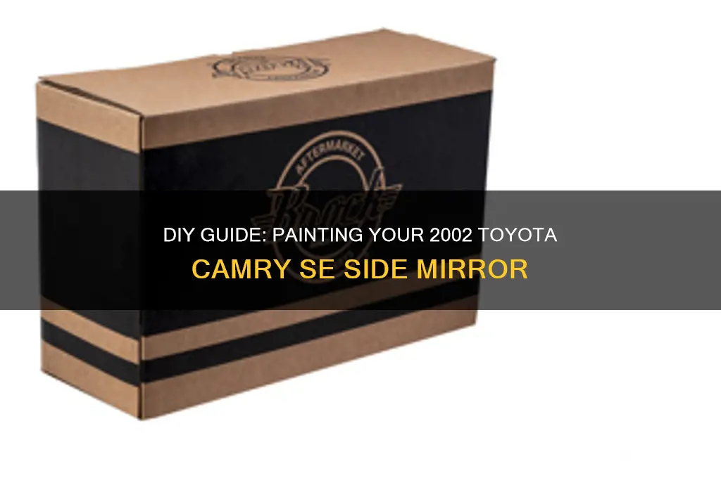 how to paint my 2002 toyota camry se side mirror