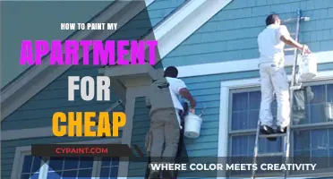 Budget-Friendly Apartment Painting Tips: Affordable DIY Makeover Ideas