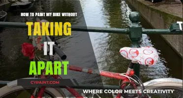 Painting Your Bike? Keep it Intact!
