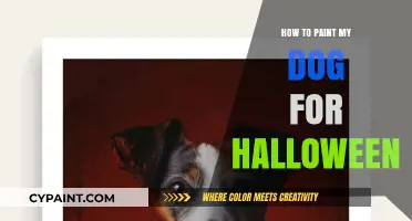 Creative Halloween Dog Painting Ideas: Safe, Fun, and Easy Tips