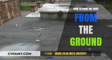 Ground-Level Roof Painting: Tips and Tricks for a Safe DIY Project