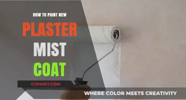Mastering the Mist Coat: Painting New Plaster Like a Pro