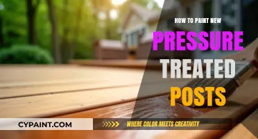 Mastering the Art of Painting New Pressure Treated Posts