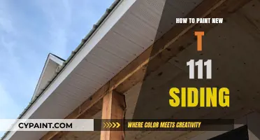 Mastering T1-11 Siding: Essential Painting Tips for a Flawless Finish