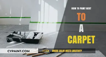 Painting Near Carpet: Tips to Protect Floors While Refreshing Walls