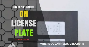 DIY License Plate Number Painting: A Step-by-Step Guide for Beginners