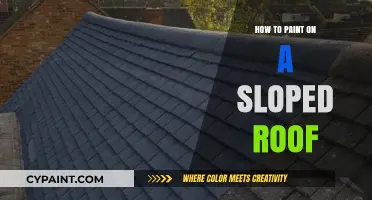 Mastering Sloped Roof Painting: Tips for a Safe and Smooth Finish