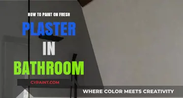 Painting Fresh Plaster in Bathrooms: Essential Tips for a Flawless Finish