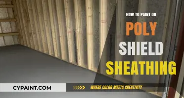 Mastering Poly Shield Sheathing: Tips for Smooth, Durable Paint Application