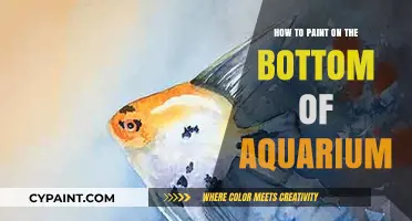 Creative Aquarium Decor: Mastering the Art of Painting the Bottom