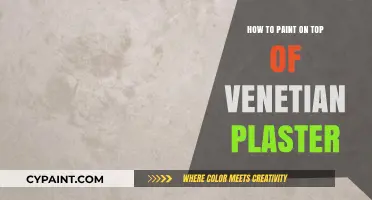 Mastering Artistic Techniques: Painting on Venetian Plaster Surfaces