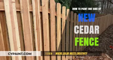 Easy Painting: One-Sided Cedar Fence Makeover