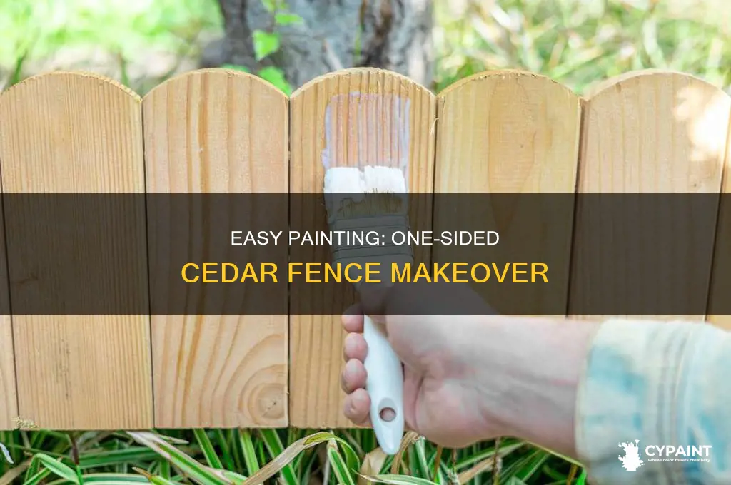 how to paint one side of new cedar fence