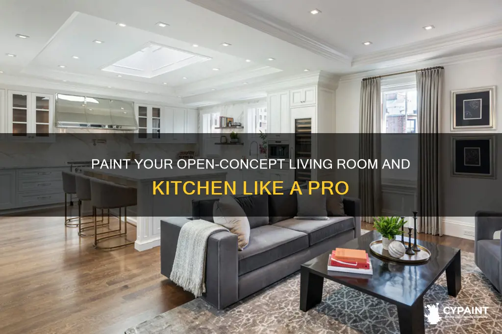 how to paint open concept living room and kitchen