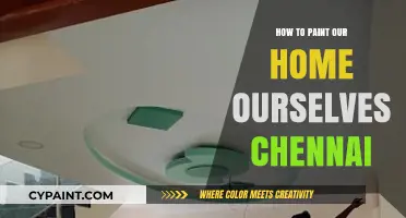 DIY Home Painting Guide: Chennai's Best Tips for a Perfect Finish