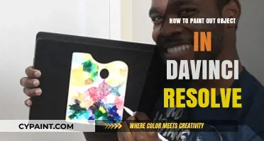 Mastering Object Removal: Painting Techniques in DaVinci Resolve
