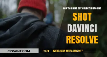 Mastering Object Removal in Moving Shots with DaVinci Resolve