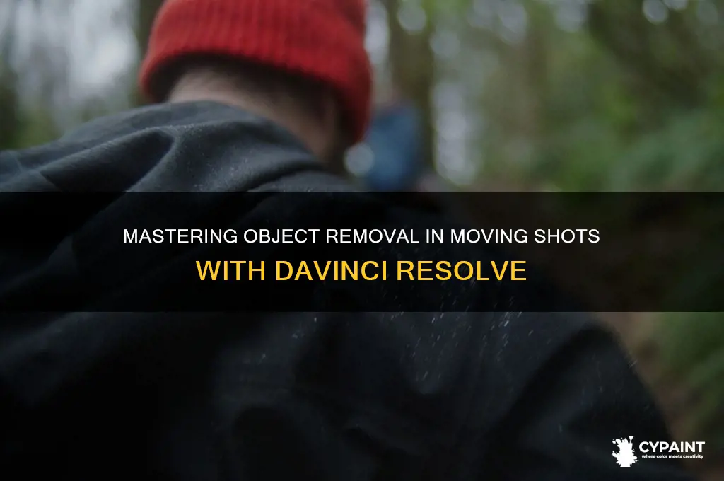 how to paint out object in moving shot davinci resolve