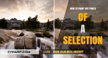 Mastering Selection Masking: Techniques to Paint Out Specific Areas in Photoshop