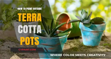 Easy Steps to Paint Vibrant Outdoor Terra Cotta Pots