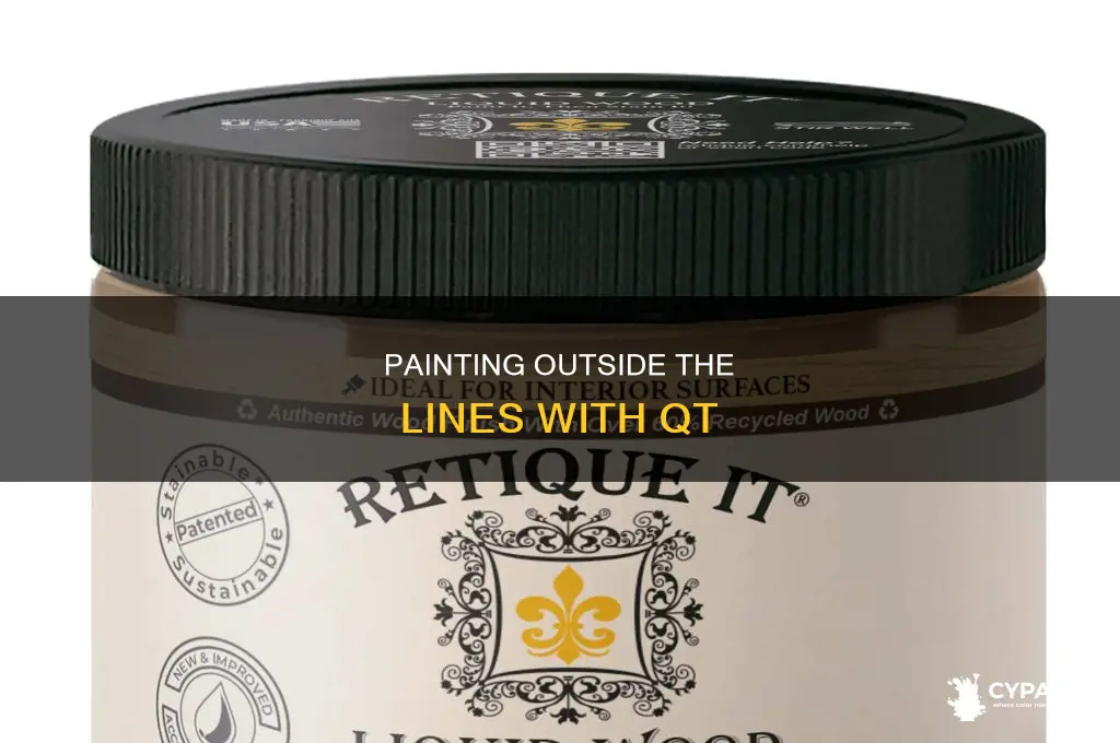 how to paint outside the selectoed area in qt