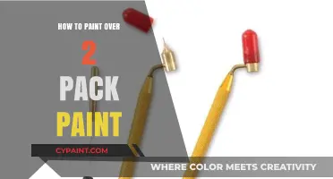 Mastering the Art: Painting Over 2 Pack Paint Like a Pro