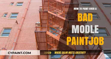 Revive Your Model: Tips for Painting Over a Bad Paint Job